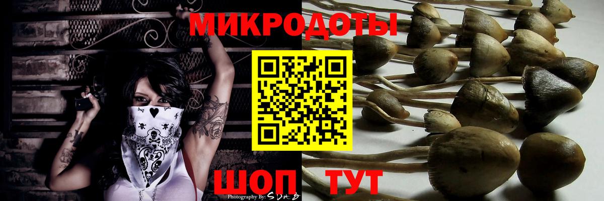 Псилоцибиновые грибы ЛСД Амурск