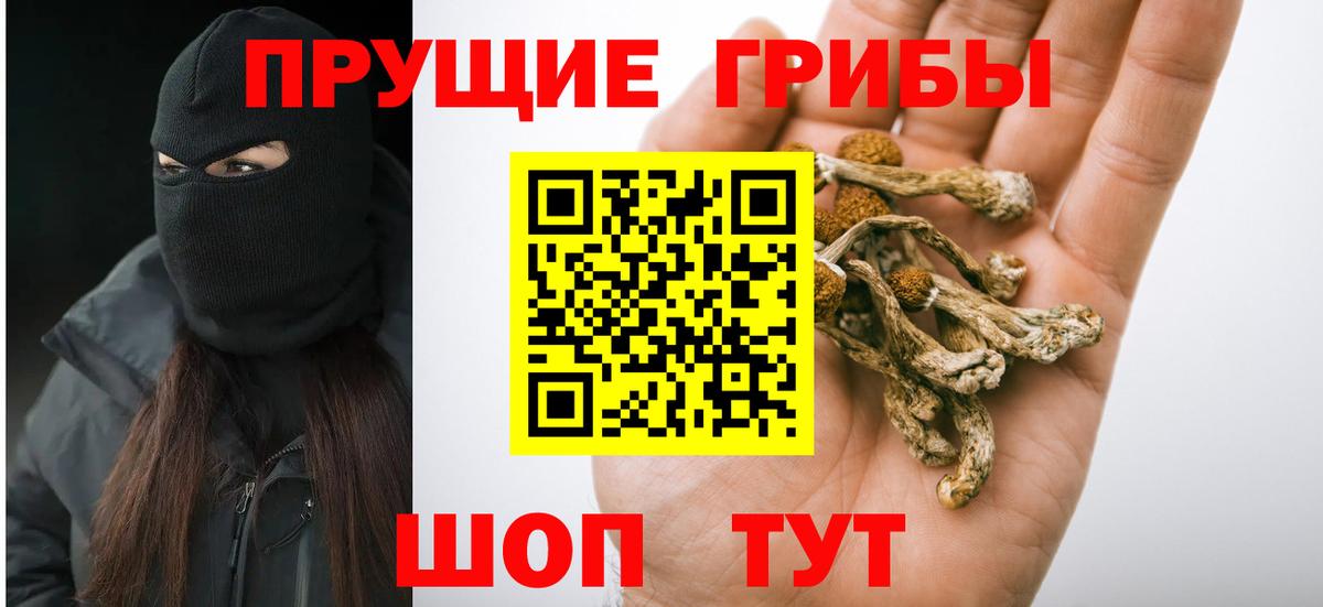 Псилоцибиновые грибы GOLDEN TEACHER  хочу   Амурск  Вход с VPN 